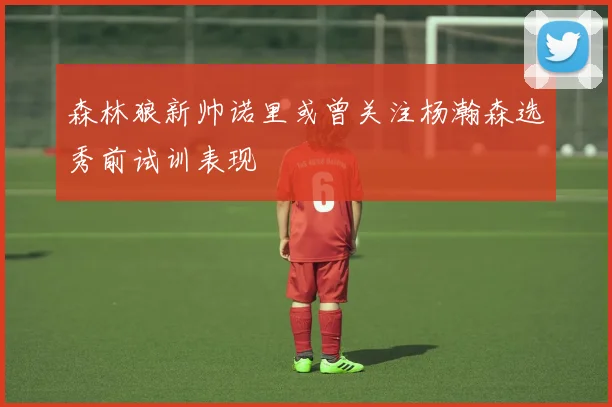 森林狼新帅诺里或曾关注杨瀚森选秀前试训表现